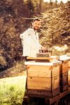 Mayer Honig die Honigwelt in Gleinstätten