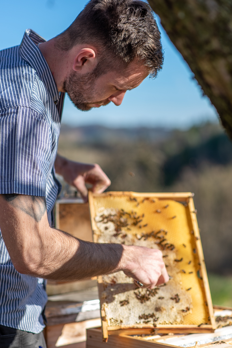 Bienen-Honig Mayer – Gleinstätten Steiermark Bienen-Honig Mayer – Gleinstätten Steiermark