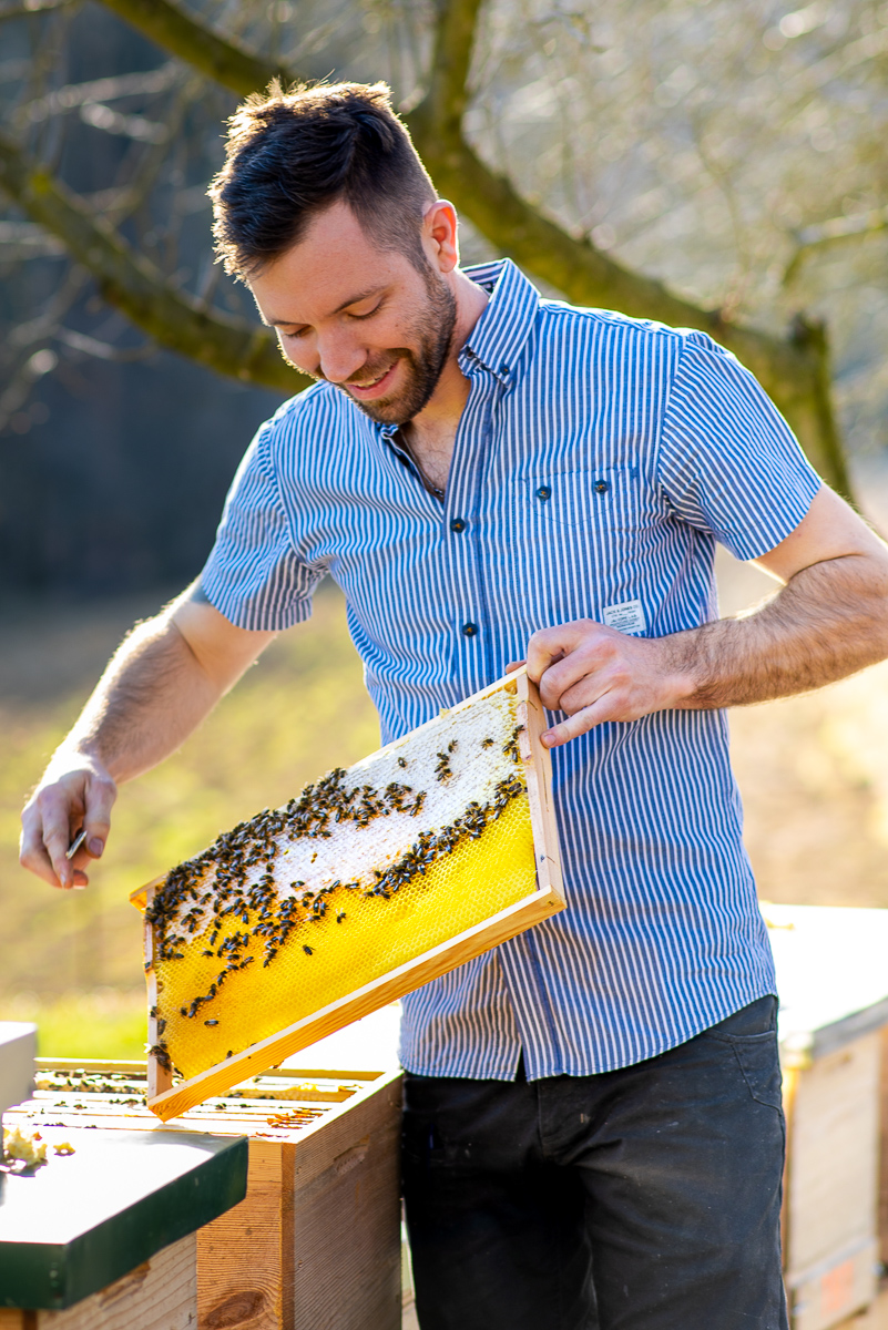 Bienen-Honig Mayer – Gleinstätten Steiermark Bienen-Honig Mayer – Gleinstätten Steiermark